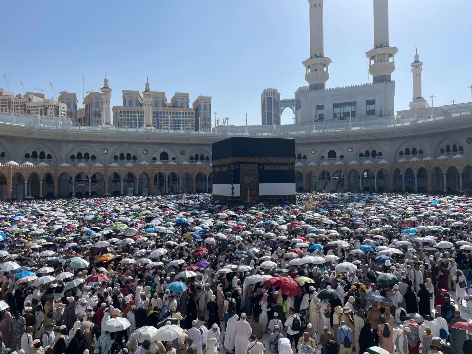 Image from قناة الإخبارية: هيئة كبار العلماء: نجاح الحج يجسد رؤية المملكة في خدمة ضيوف الرحمن لل...