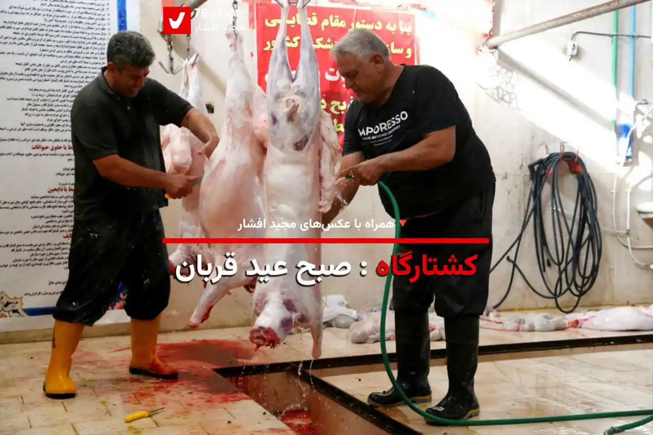 Image from اخبار گراش : هفت برکه + هفتک: 🐑 کشتارگاه، صبح عید قربان 📸 <a class="text-blue-500 hover:underline ...
