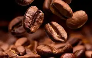 Image from Lowongan Kerja: *Lowongan Kerja Female Barista di Harasa Coffee* *Posisi:* Female Bar...