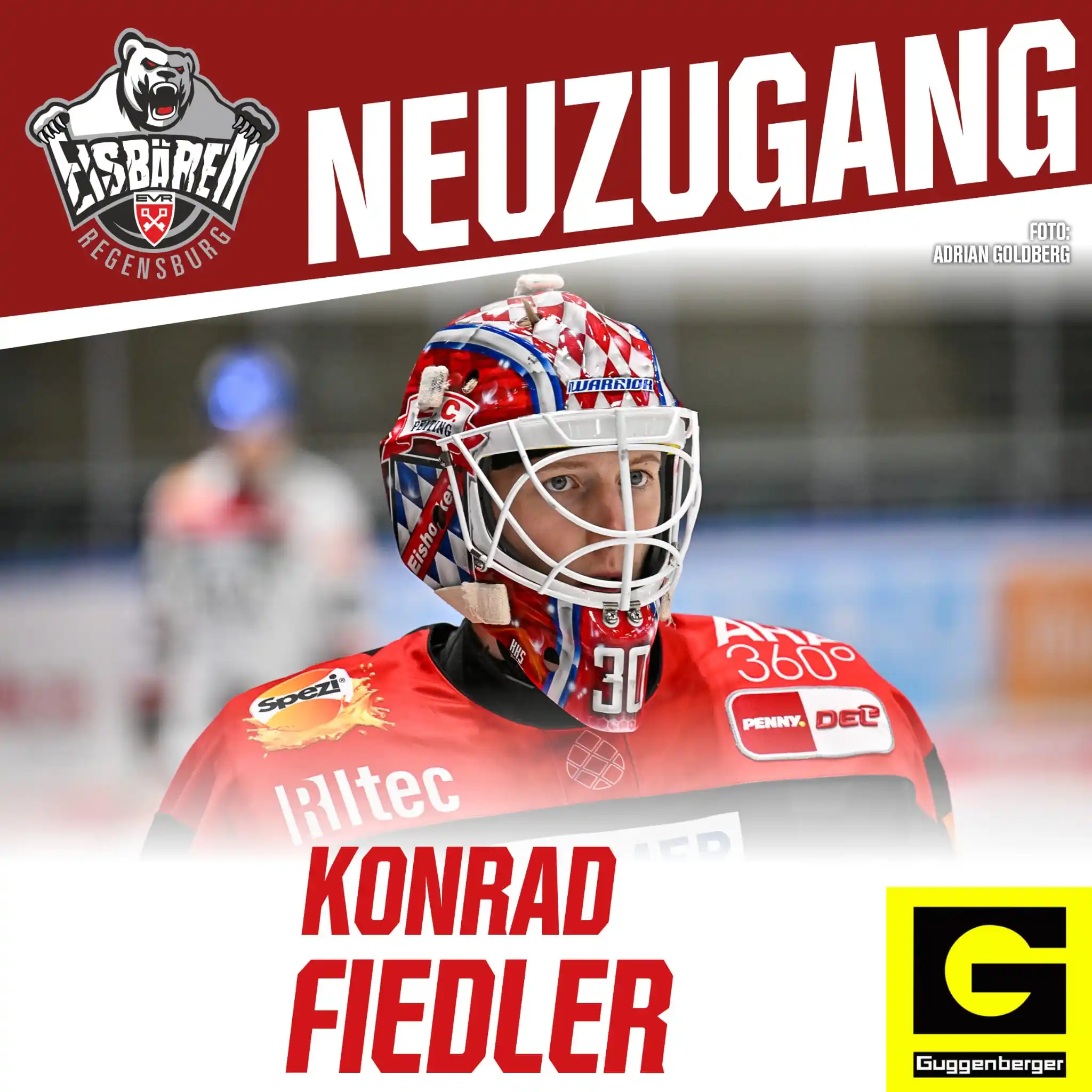 Image from Eisbären Regensburg: NEUER GOALIE: EISBÄREN HOLEN KONRAD FIEDLER Ein großes Torhütertalent...