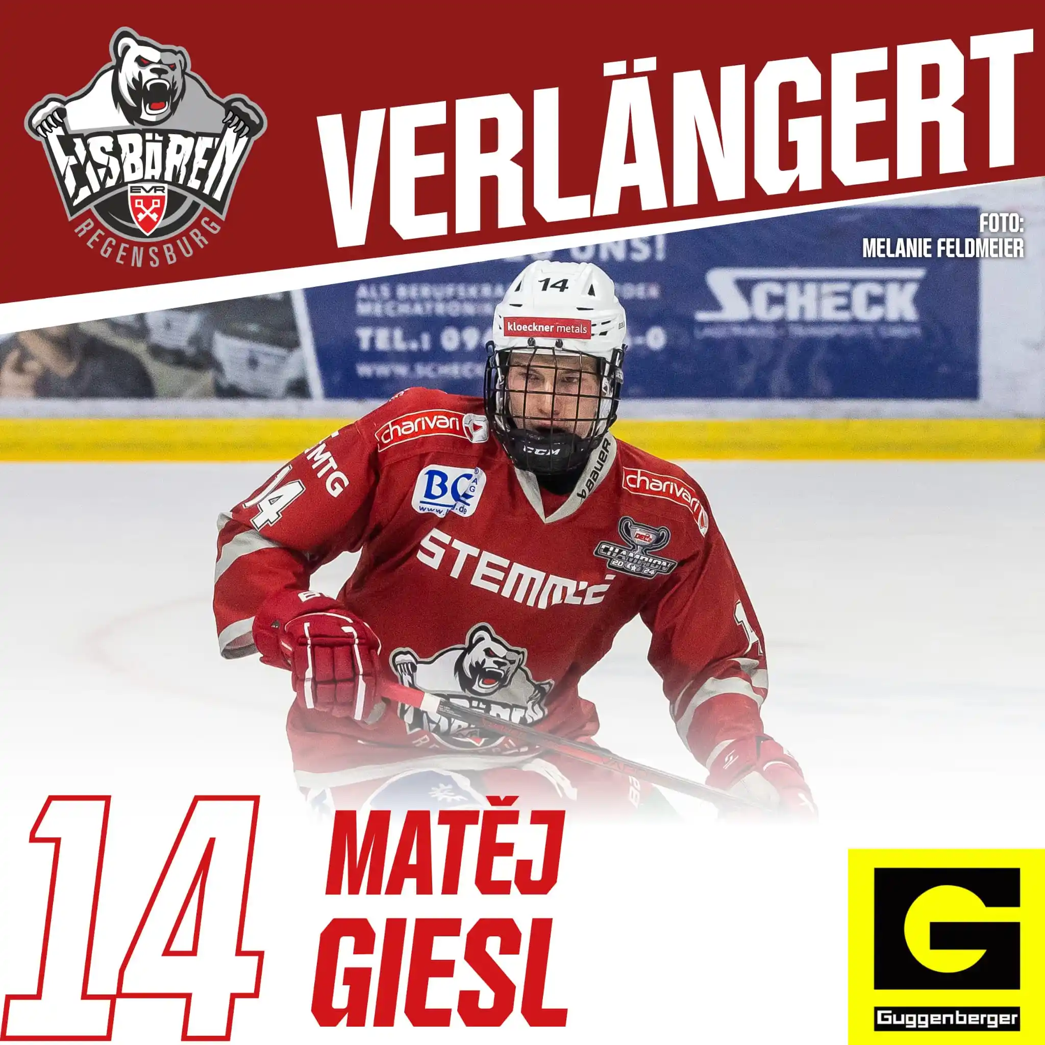 Image from Eisbären Regensburg: STURM WÄCHST WEITER: MATĚJ GIESL BLEIBT IN REGENSBURG! Ein vielverspr...