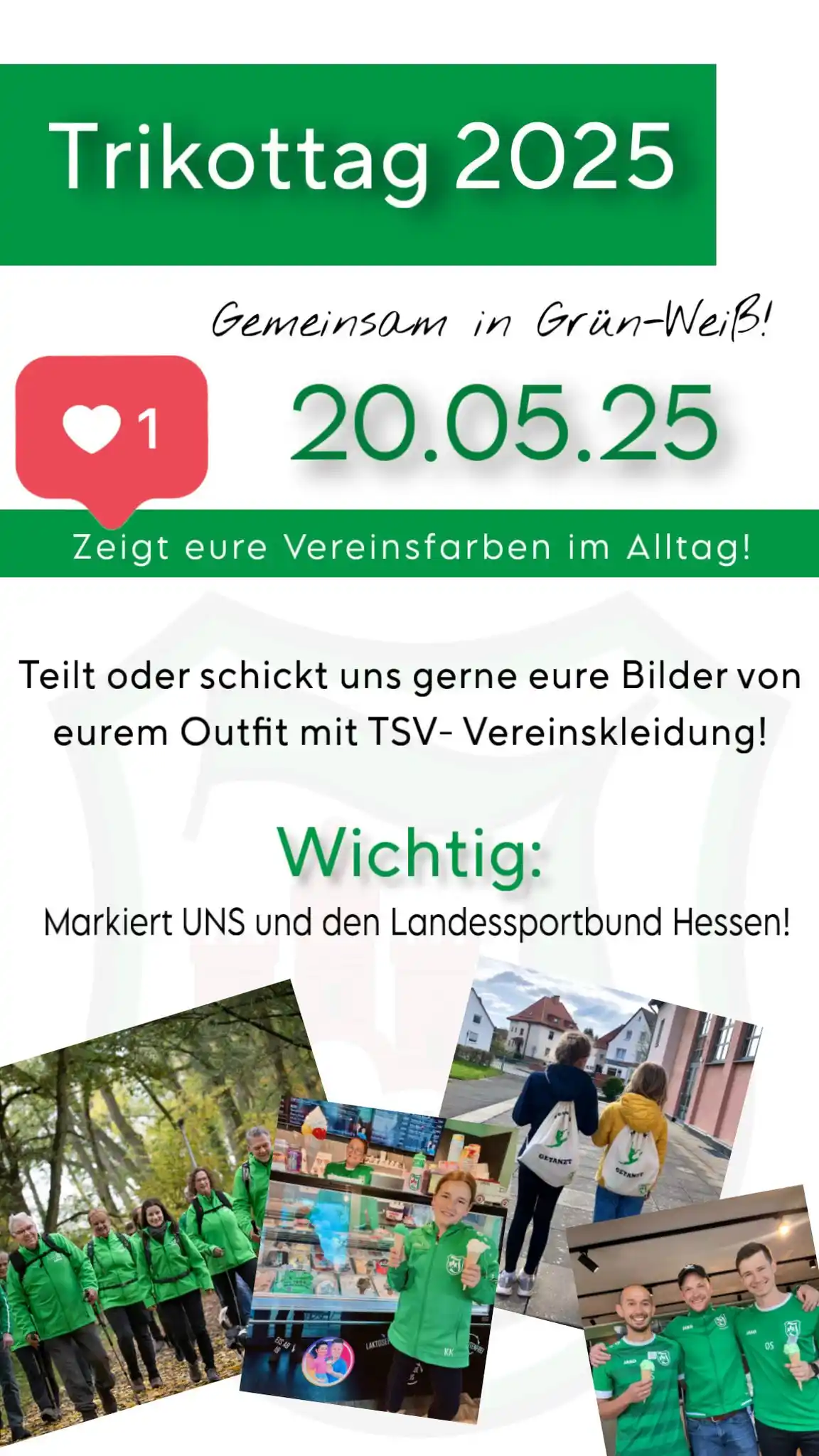 Image from TSV Immenhausen: Trikottag bei der TSV Immenhausen! ✨️ Heute zeigen wir unsere grün-we...