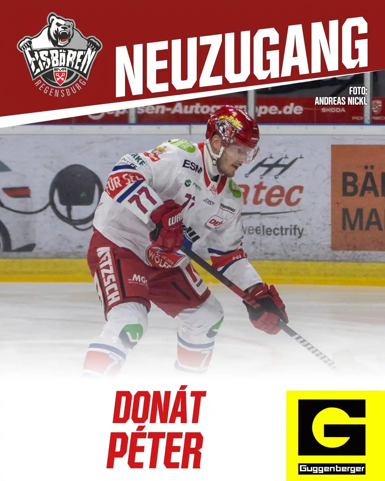 Image from Eisbären Regensburg: Verstärkung vom Rivalen aus Selb: Stürmer Donát Péter wechselt nach Re...