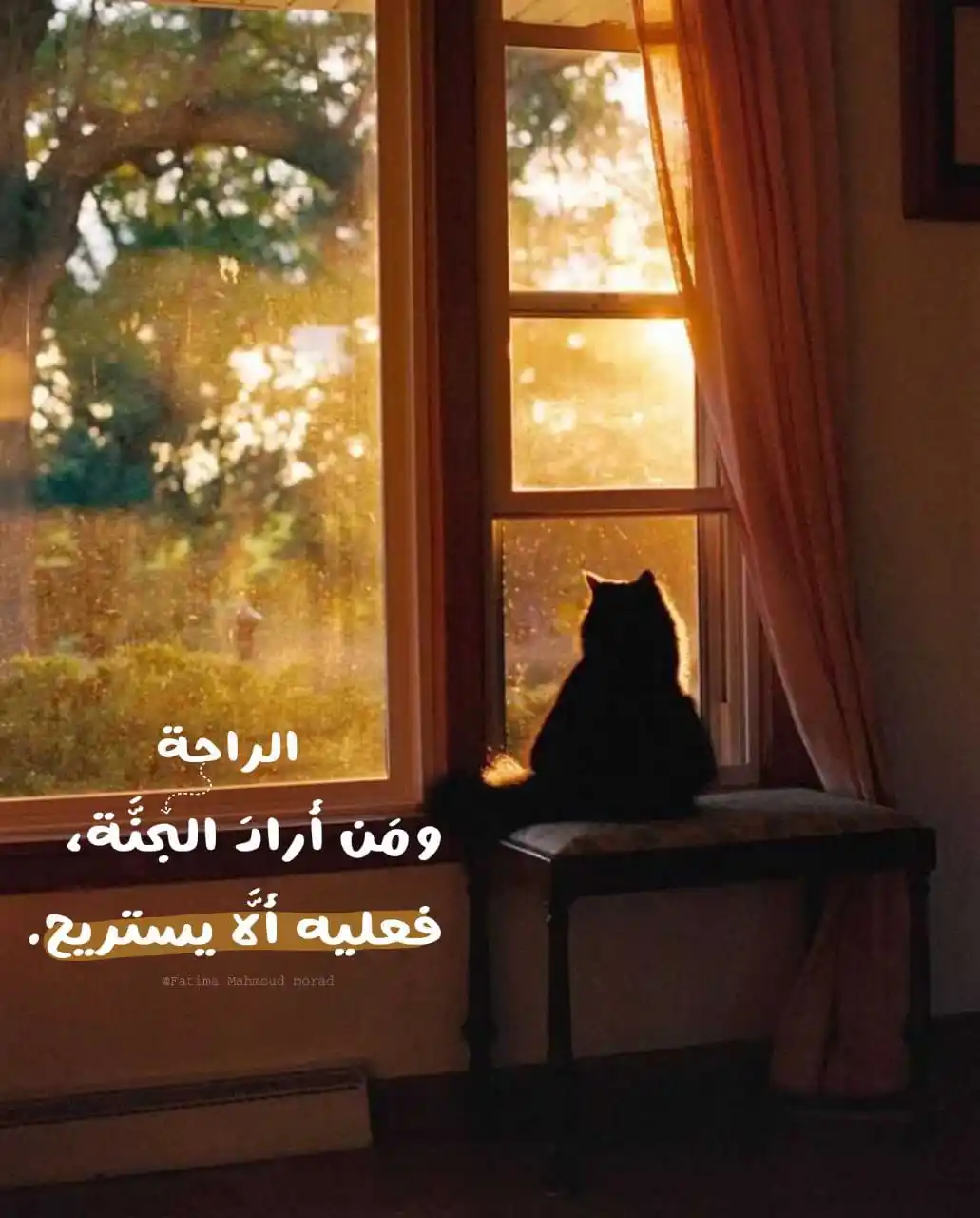 الرَاحِلة post