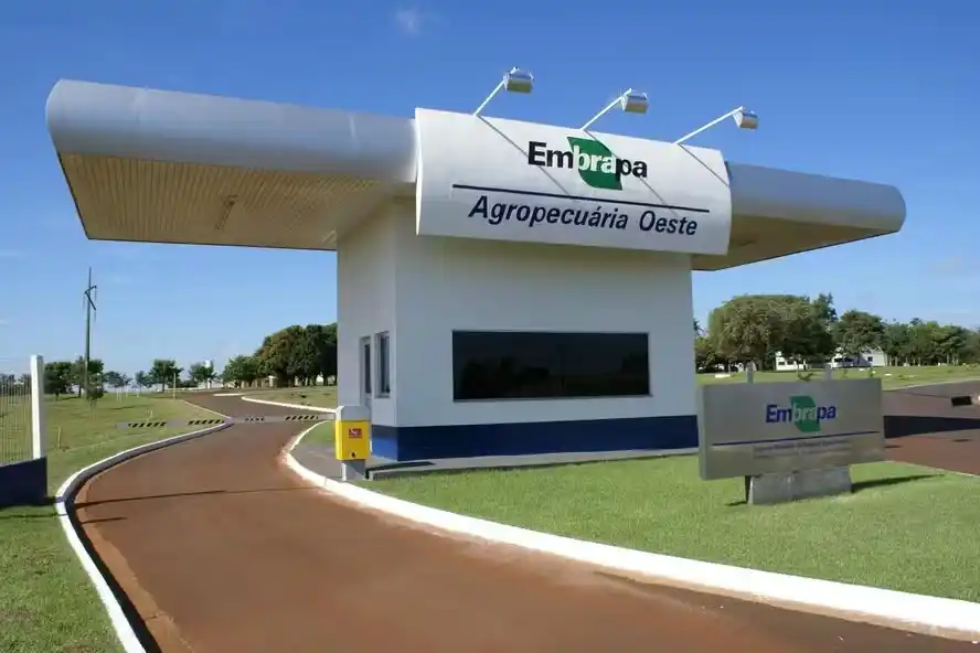 Image from Extra - Emprego e concursos: *Embrapa divulga resultado final da prova discursiva em concurso com m...