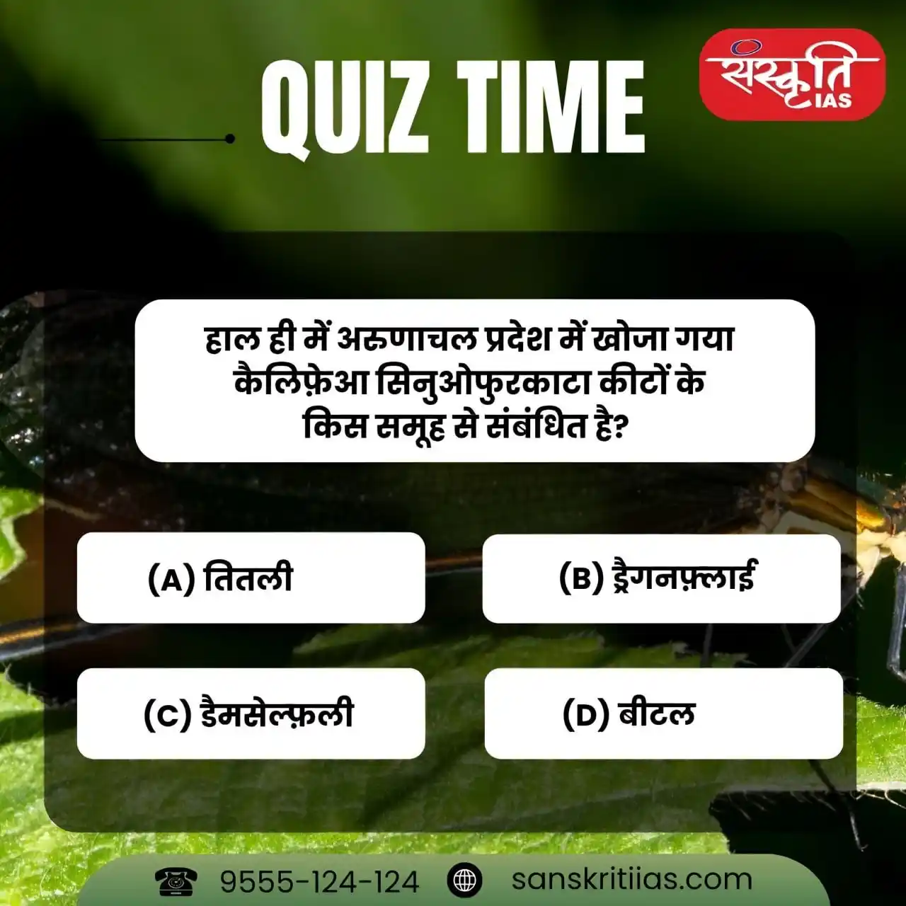 Image from Sanskriti IAS: हाल ही में अरुणाचल प्रदेश में खोजा गया कैलिफ़ेआ सिनुओफुरकाटा कीटों के ...