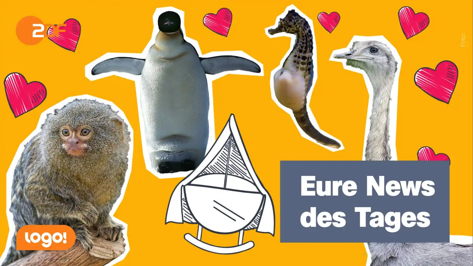 Image from ZDF logo!: 🎉 Happy Vatertag! Heute *feiern wir alle Superpapas*, die beim Hausa...