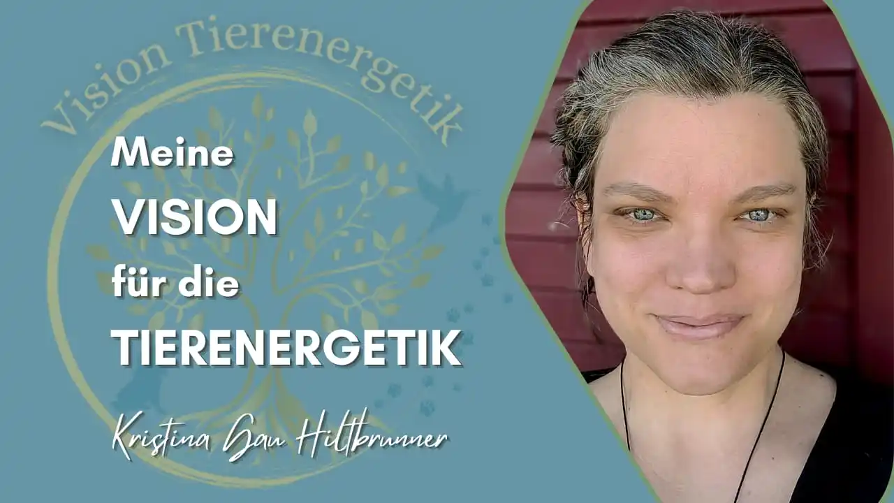 Image from HarmonieReise der UrElemente by Kristina Gau Hiltbrunner: Heute ist mein kleines Vorstellungsvideo online gegangen, in dem ich m...