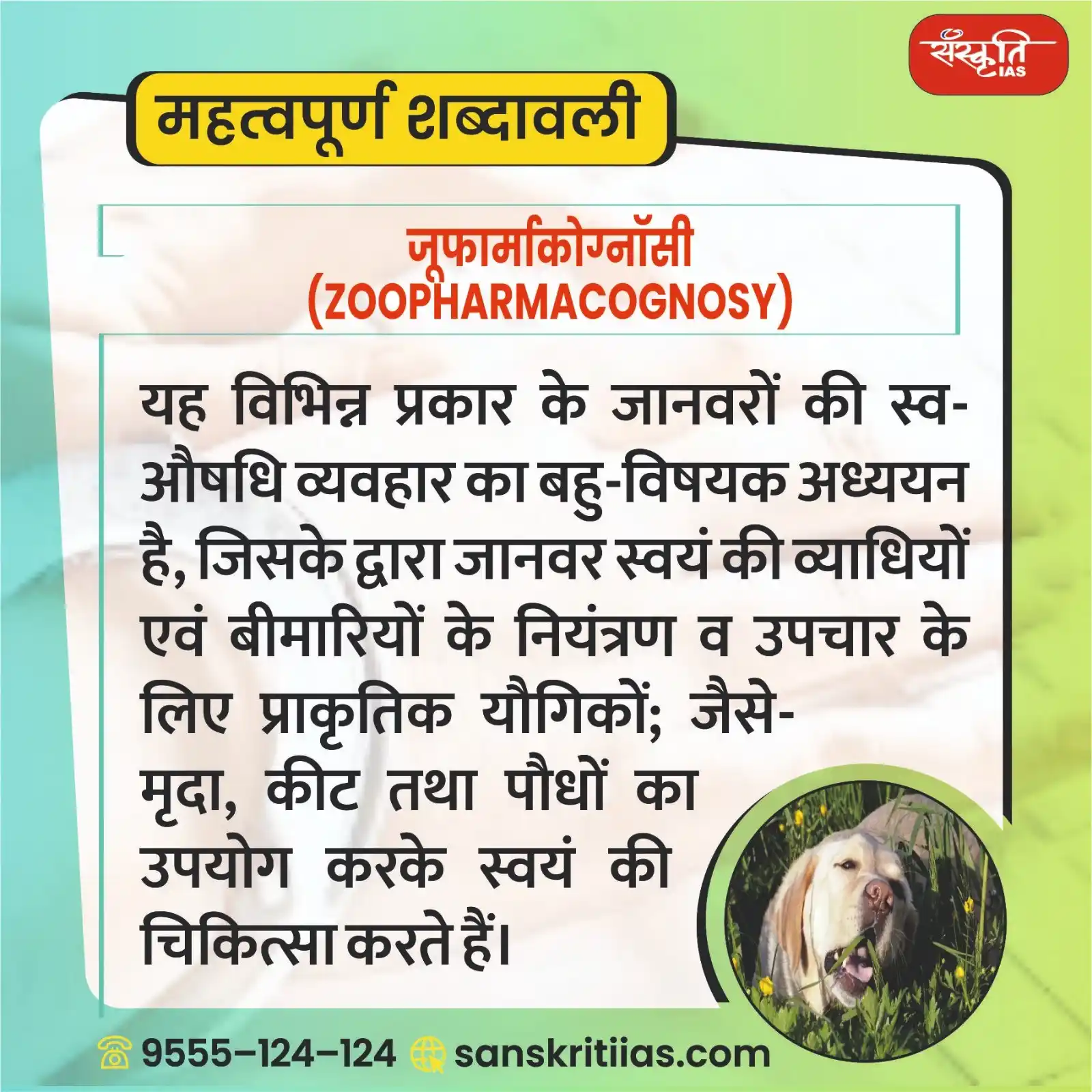 Image from Sanskriti IAS: महत्त्वपूर्ण शब्दावली: जूफार्माकोग्नॉसी (Zoopharmacognosy) https://...