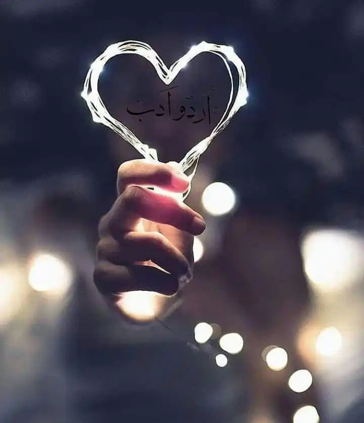 Image from 🌹 اردو ادب 📚: *✍🏻بعض لوگوں کے پاس بےپناہ الفاظ اور خیالات کا ذخیرہ ہوتا ہے پھر بھی ...