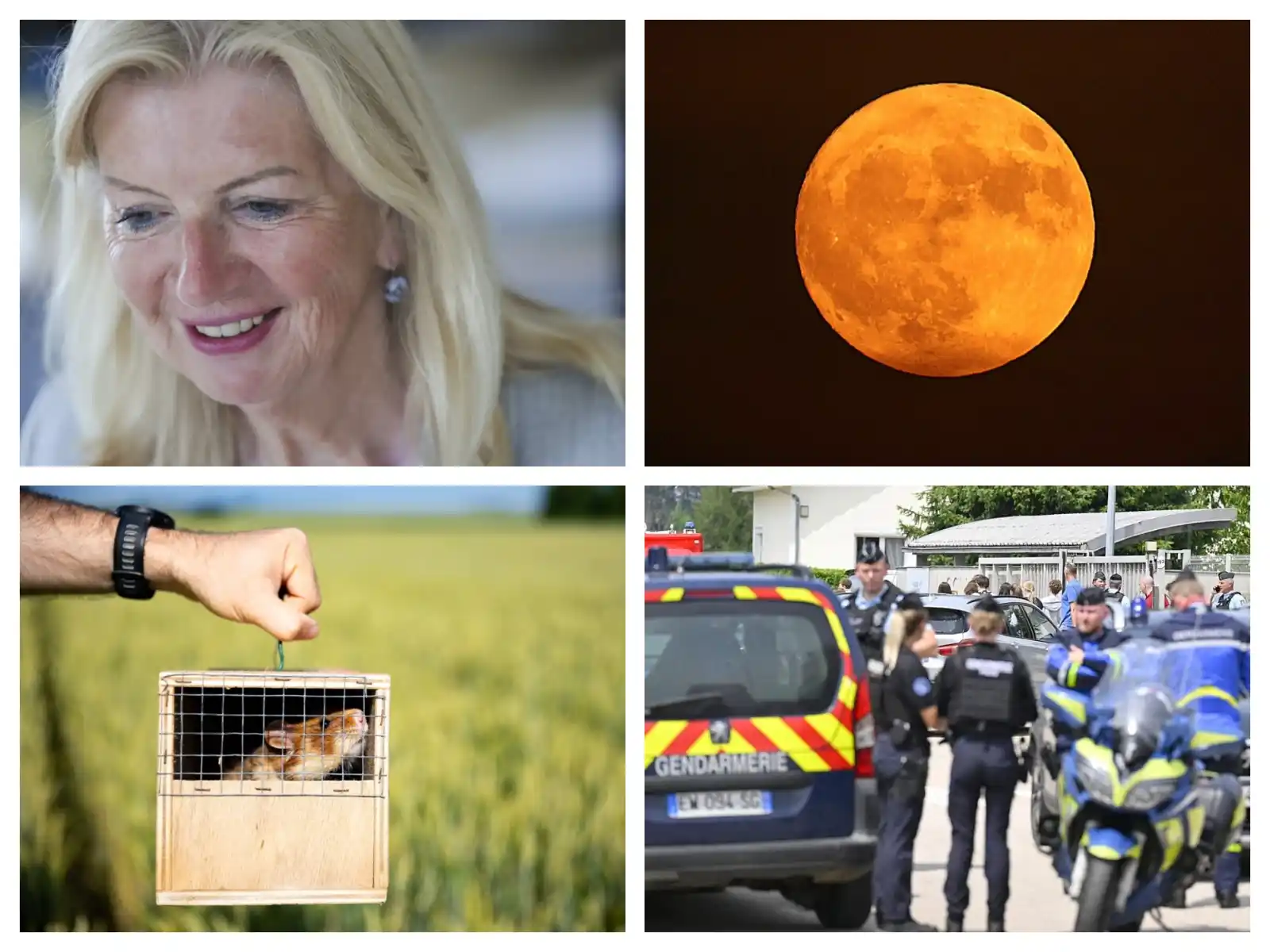 Image from Les DNA: Bonsoir à tous, Ysée avec vous ce mercredi soir pour passer en revue l...