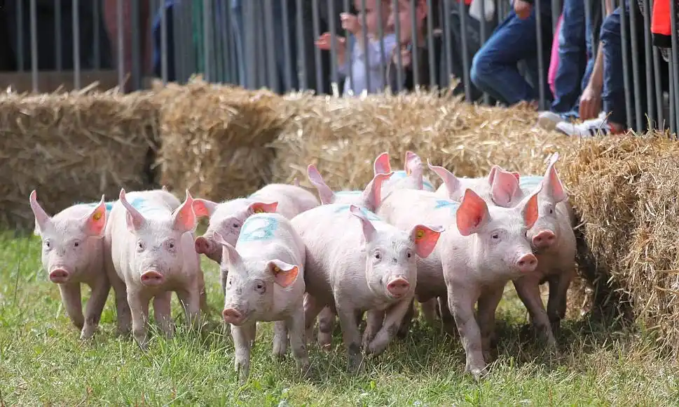 Image from Les DNA: C’est vendredi ! Nos rédactions vous proposent une sélection d’idées s...
