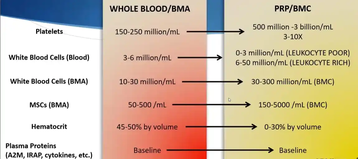 Image from Sports-Exercise Medicine & Sciences: Lifestyle & Performance Medicine, Dept. of Physiology, IMS, BHU: Centrifugation of blood and BMA @M.Murphy...