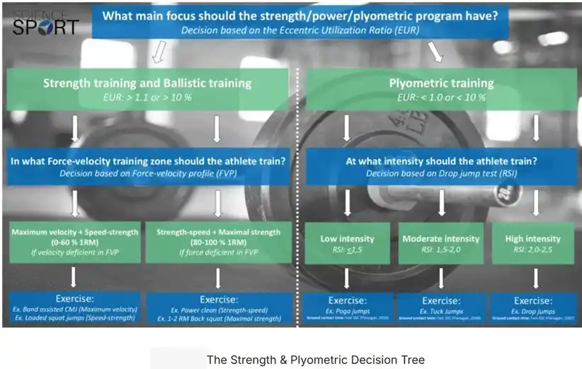 Image from Sports-Exercise Medicine & Sciences: Lifestyle & Performance Medicine, Dept. of Physiology, IMS, BHU: Eccentric Utilisation Ratio The eccentric utilisation ratio (EUR) is s...