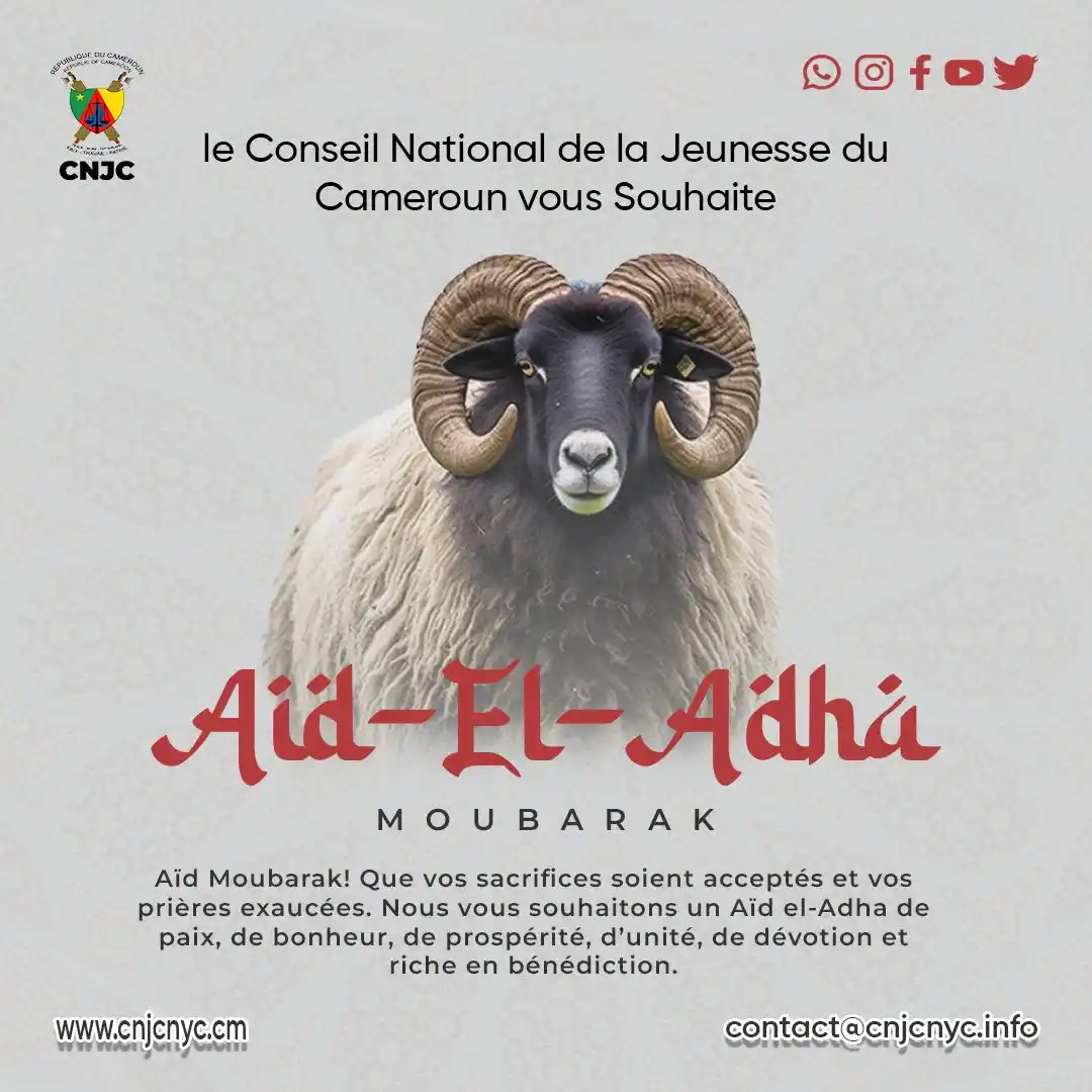CNJC-CNYC info 🇨🇲Cameroon National Youth Council / Conseil National de la Jeunesse Du Cameroun 🇨🇲  post