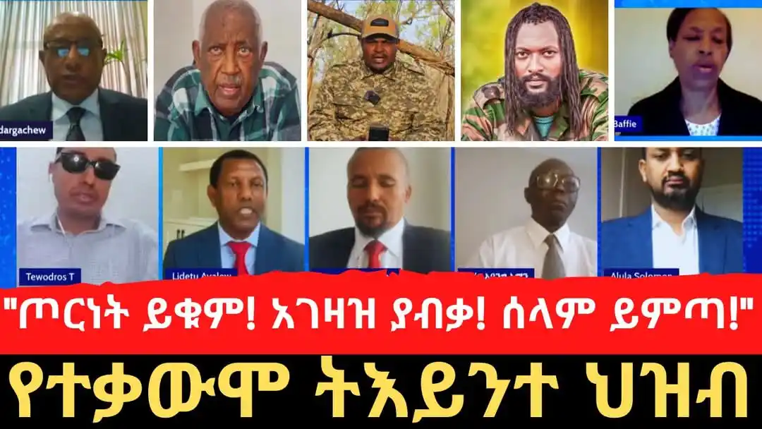 Image from EthioTube: ልደቱ አያሌው፣ ጃዋር መሀመድ፣ ዘመነ ካሴ፣ ገዱ አንዳርጋቸው፣ ስብሀት ነጋ እንዲሁም ሌሎች አንጋፋ ፖለቲከኞች ...