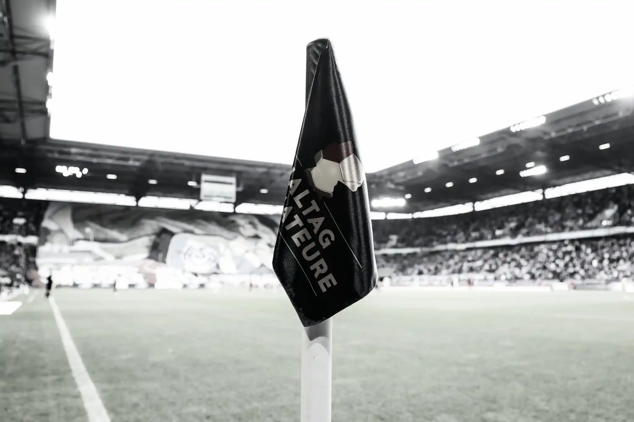 Image from MSV Duisburg: Liebe Zebras, der MSV-Fan, der im Rahmen unseres Niederrheinpokal-Fin...
