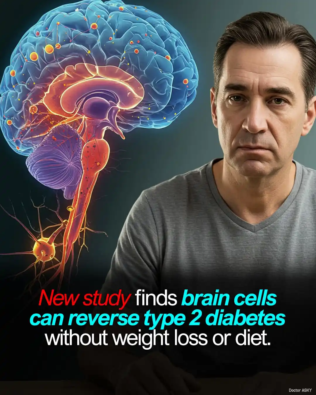 Image from Sports-Exercise Medicine & Sciences: Lifestyle & Performance Medicine, Dept. of Physiology, IMS, BHU: New research shows that overactive brain cells called AgRP neurons in ...