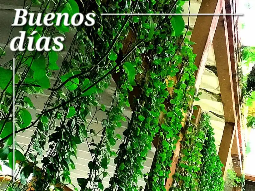 Image from ULTConecta: *¡Un cálido y emotivo abrazo para toda nuestra comunidad universitaria...