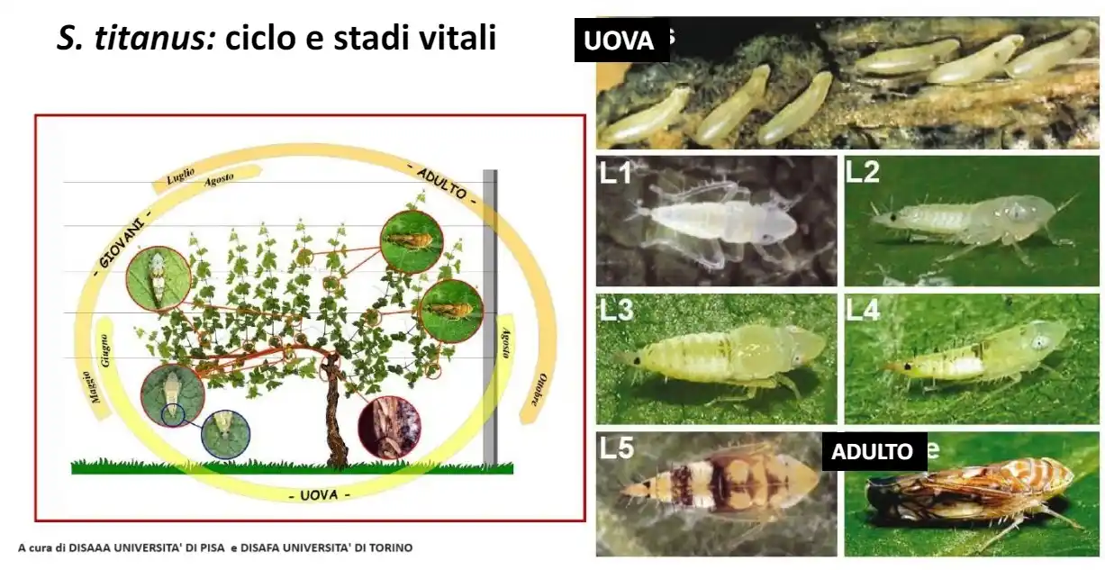 AgroAmbiente.info post