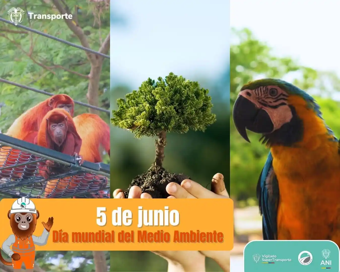 Image from Autopista del Río Grande - Troncal del Magdalena 2: 🌎5 de junio – Día Mundial del Medio Ambiente El desarrollo y el cuida...