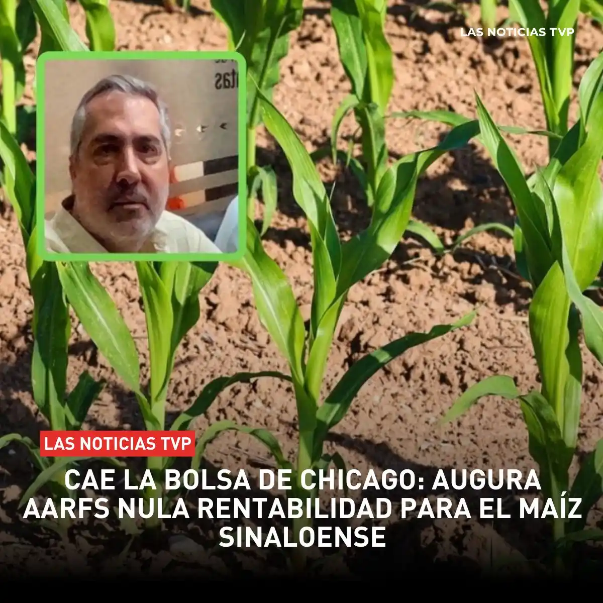 Image from Canal de información Las Noticias TVP 📺📡🎥: <a class="text-blue-500 hover:underline cursor-pointer" href="/hashtag...