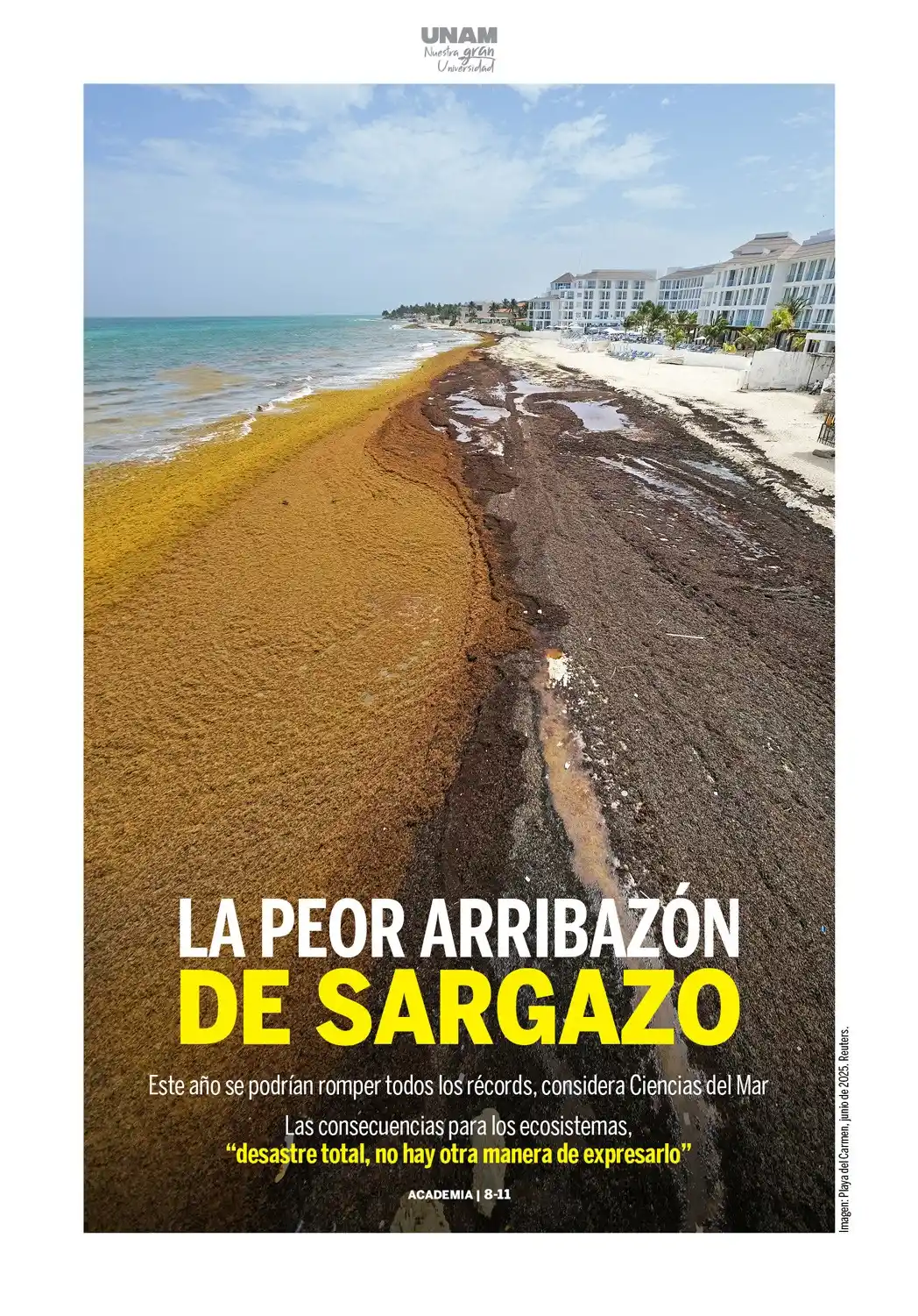 Image from Gaceta UNAM: <a class="text-blue-500 hover:underline cursor-pointer" href="/hashtag...