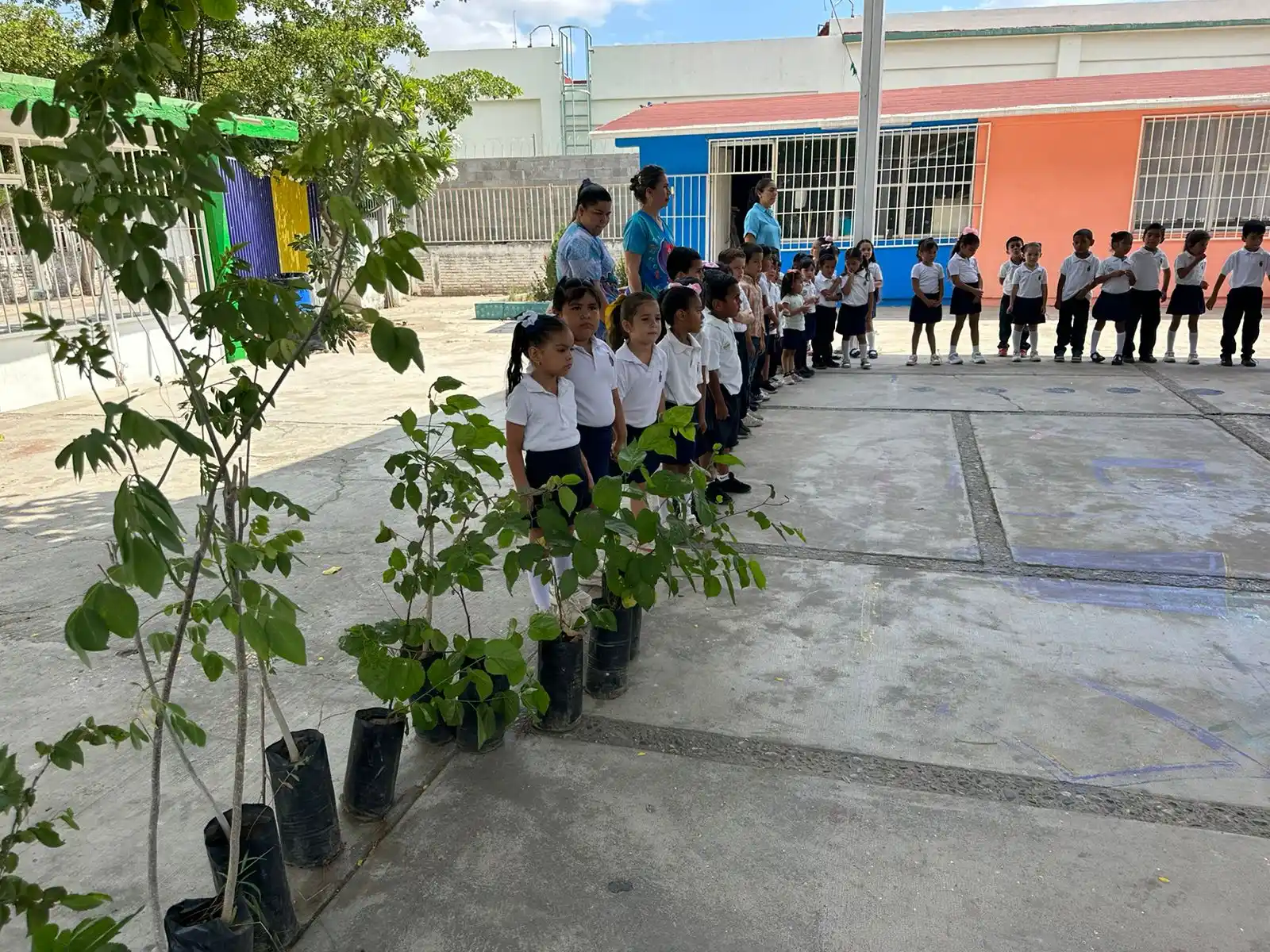 Image from Canal de información Las Noticias TVP 📺📡🎥: Ecología Municipal ha donado más de 1,500 arbolitos nativos 🌳 🌲 🌴 L...