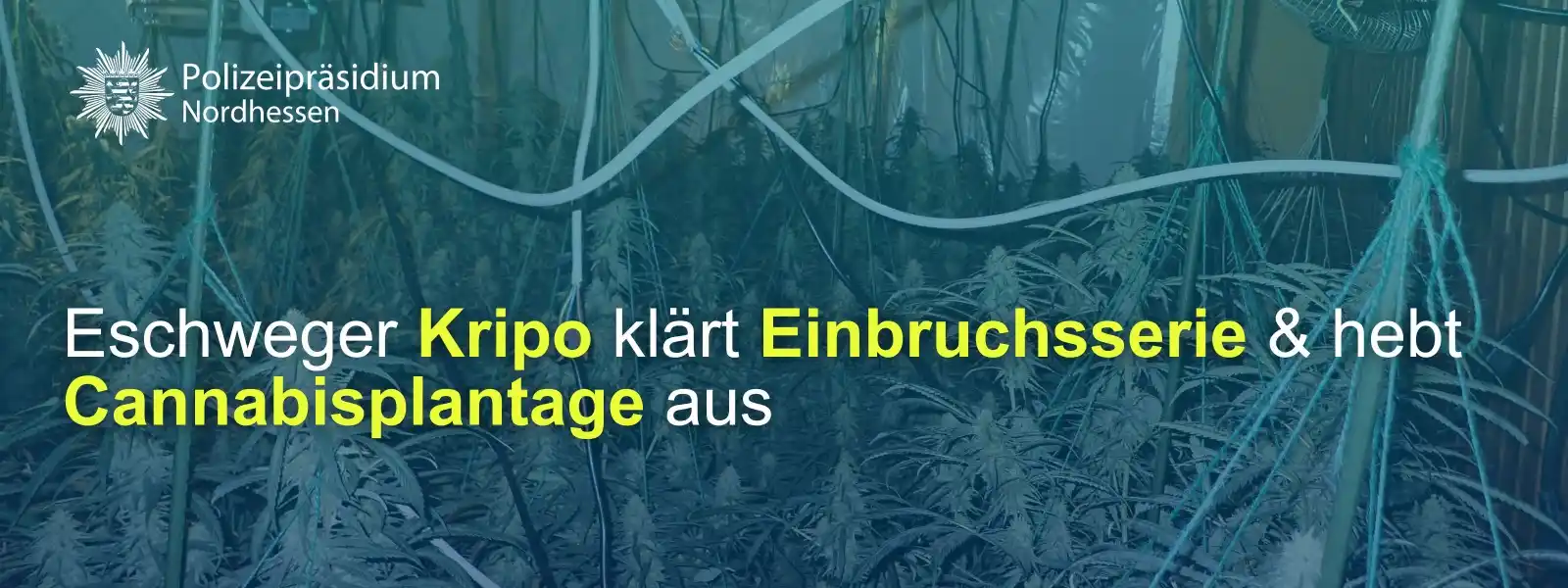 Image from Polizei Nordhessen: 🚨 *Einbruchsserie aufgeklärt – Cannabisplantage entdeckt* 🚔🌱 *Ermi...