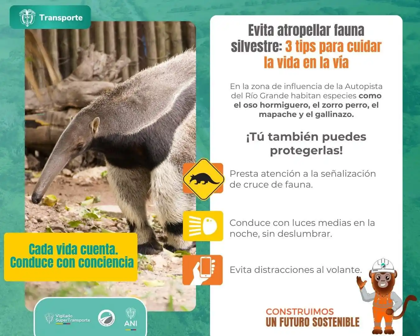 Image from Autopista del Río Grande - Troncal del Magdalena 2: En el recorrido por la Autopista del Río Grande, no estás solo: tambié...