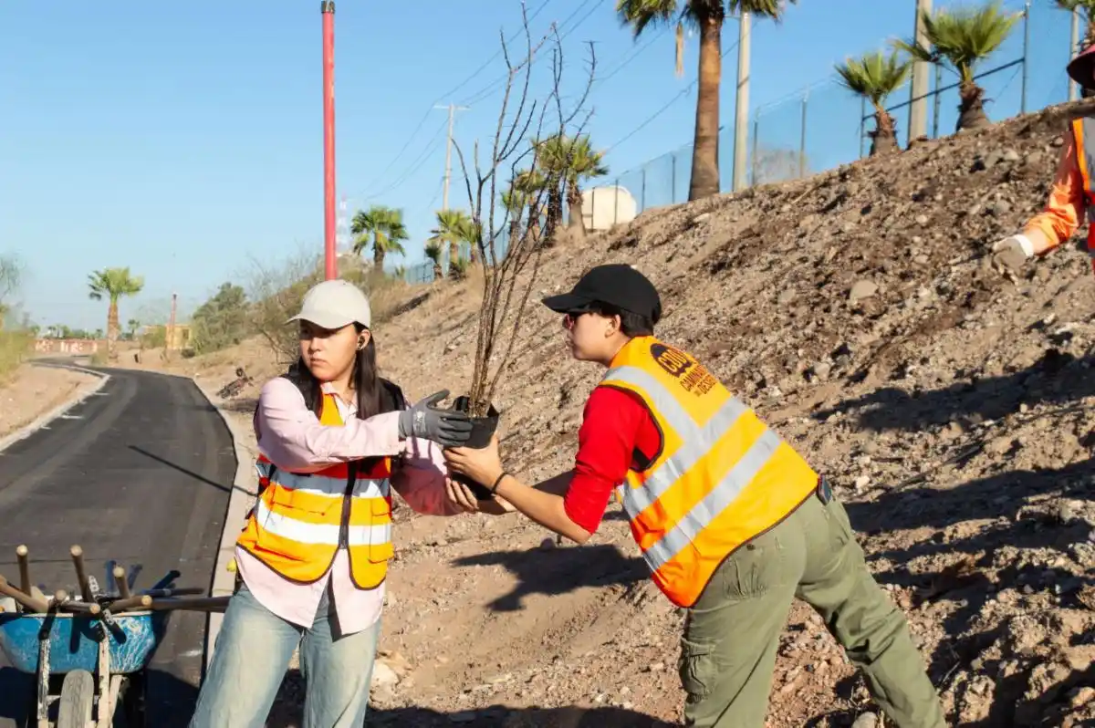 Image from Canal de información Las Noticias TVP 📺📡🎥: Gobierno de Sonora reforesta Bosque Urbano La Sauceda con apoyo ciudad...