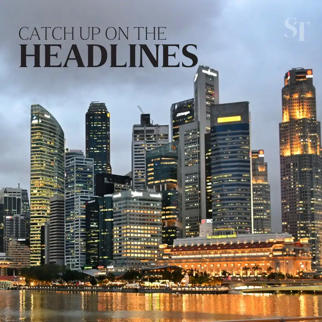 Image from The Straits Times: NDP 2025: Flying of kites, drones to be restricted on some days ➡️ htt...