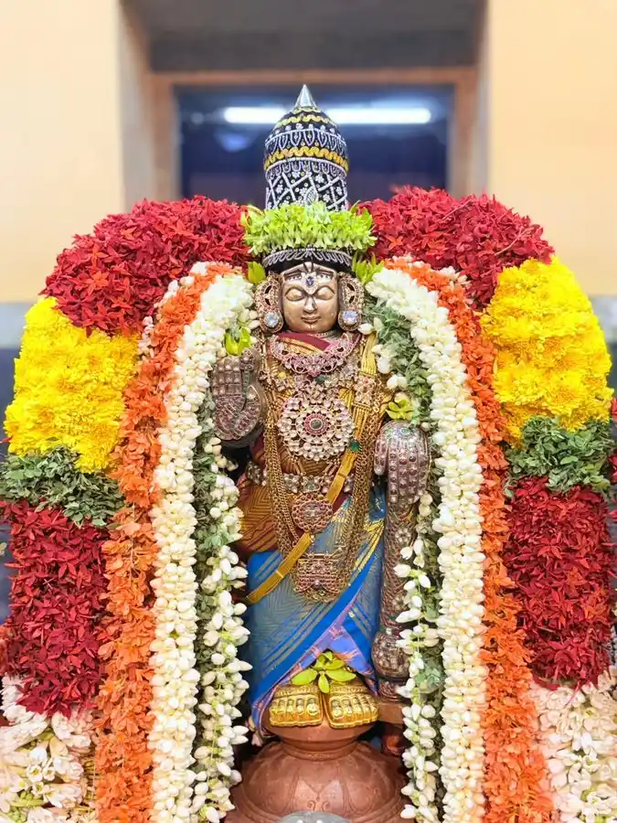 Image from Aanthai Reporter News Channel: 🦉Nellore Talpagiri Sri Ranganatha Perumal sannadhi Vasanthotsavam......