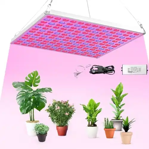 Image from Pirate Deals Angebote | Preisfehler, Schnäppchen, Rabatte & Freebies: Pirαtе~-Dеαls Neueste LED Pflanzenlampe, Pflanzenlicht mit Rot Blau Li...