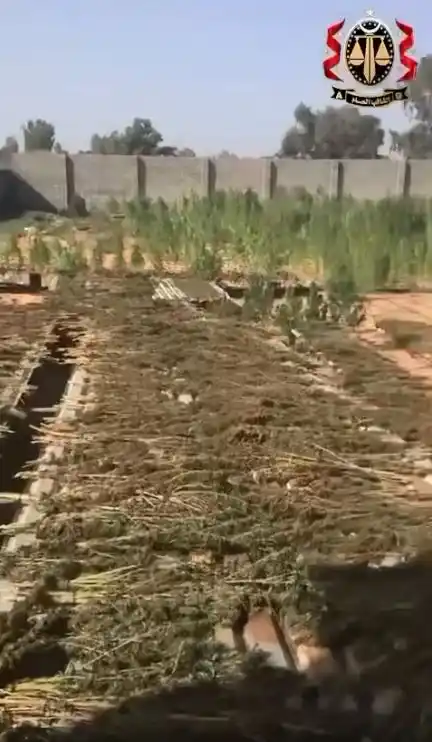Image from ليبيا برس: صور|| النائب العام: محكمة استئناف طرابلس قضت بالمؤبد وغرامة 50 ألف دين...