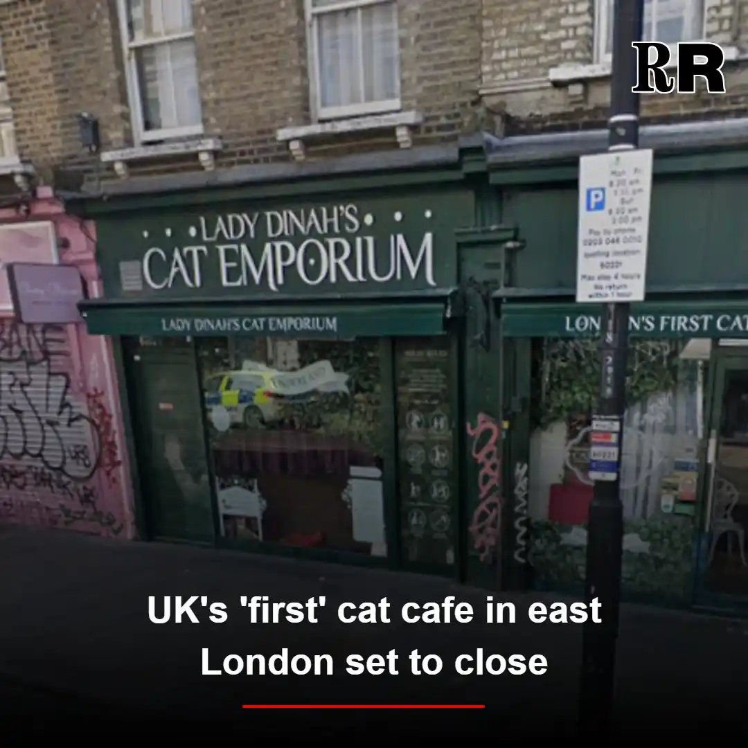 Image from Romford Recorder - Top Stories and Breaking News: The cafe has been responsible for helping to rehome over 100 cats! 🙀h...