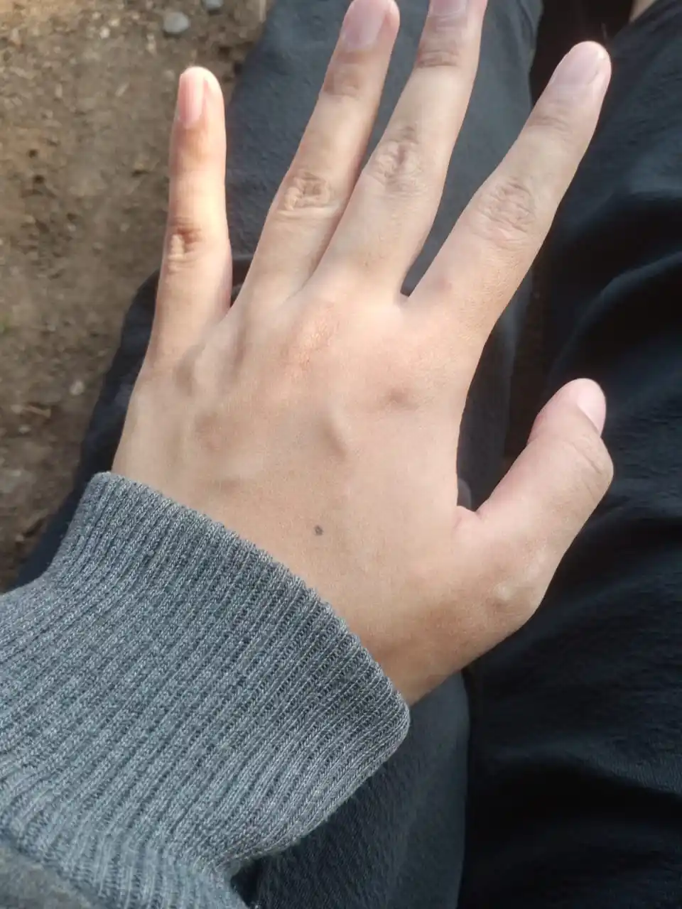 𓆉︎ Chic & Cuddly Corner 🦢❣︎ post