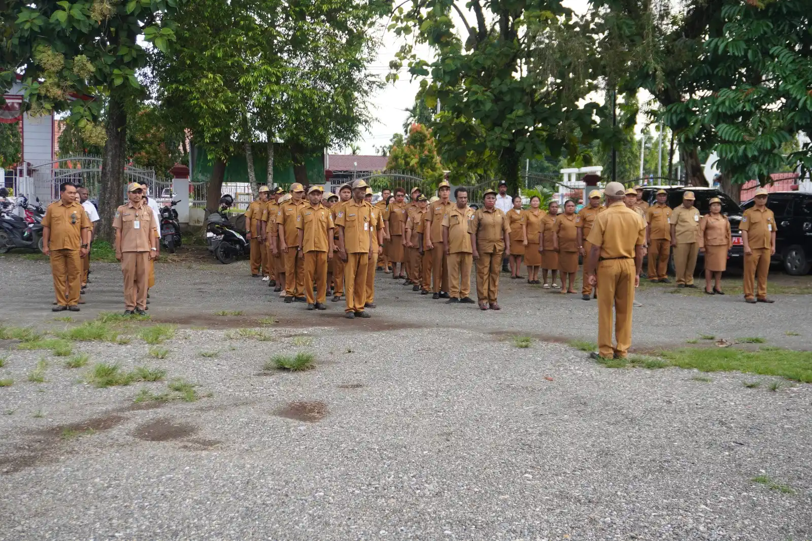 DLHKP PAPUA TENGAH post