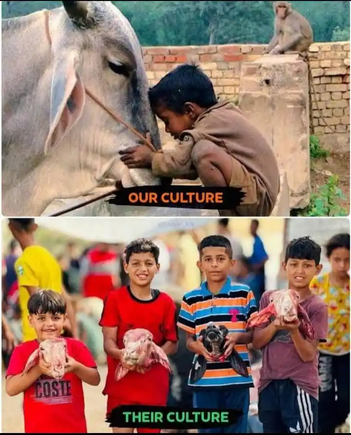 Image from ꧁༒≛⃝STATU͢͢͢S 卐 ✮⃝乙Oñᴇ✮⃝༒꧂: *Being Sanatani Not Jihadi* 🙂🌷...