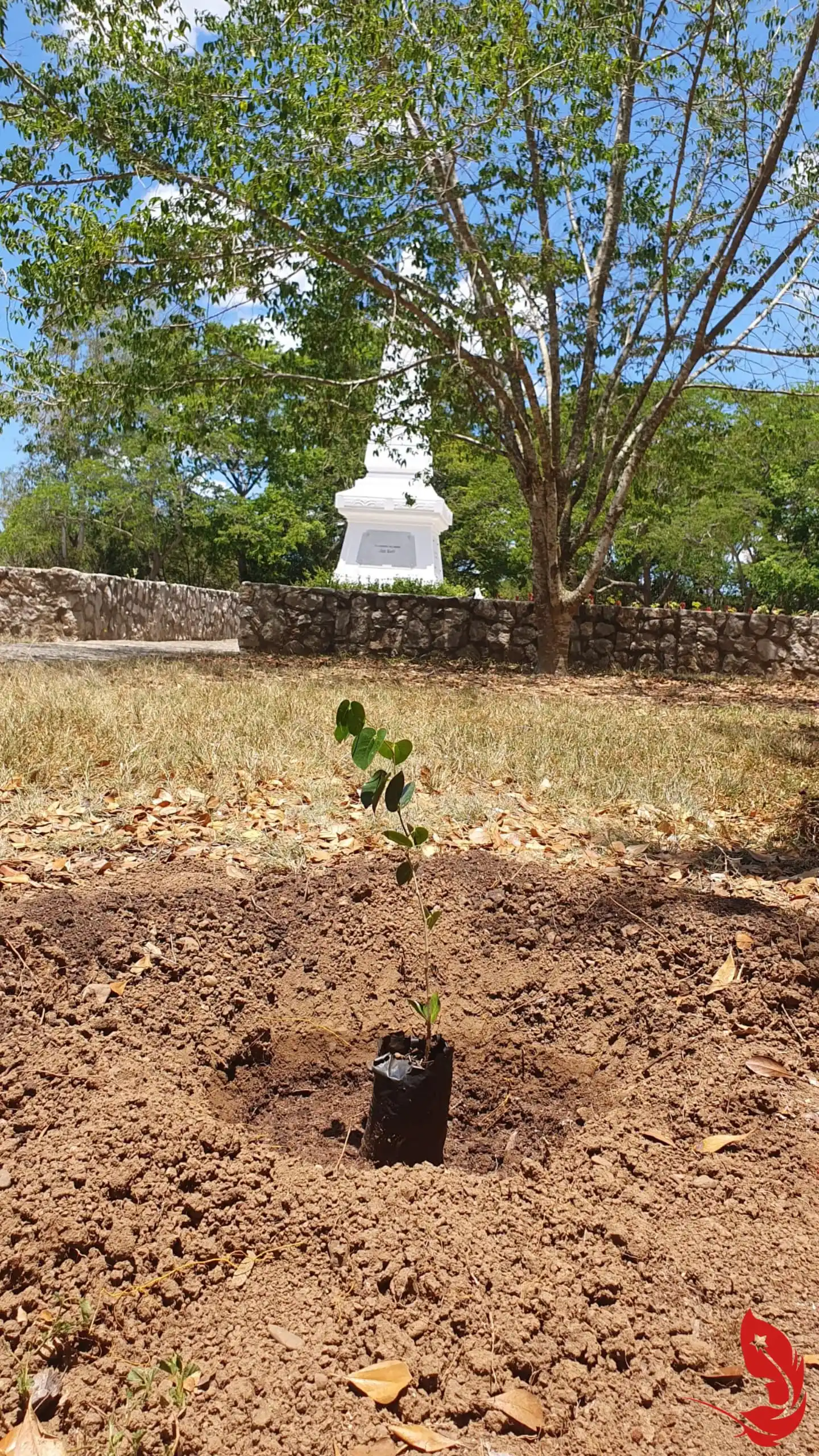 Image from Movimiento Juvenil Martiano | Matanzas 🇨🇺✍️: 🌿❤️| _Del 19 de mayo de 2025 al 13 de agosto de 2026: iniciativa “De ...