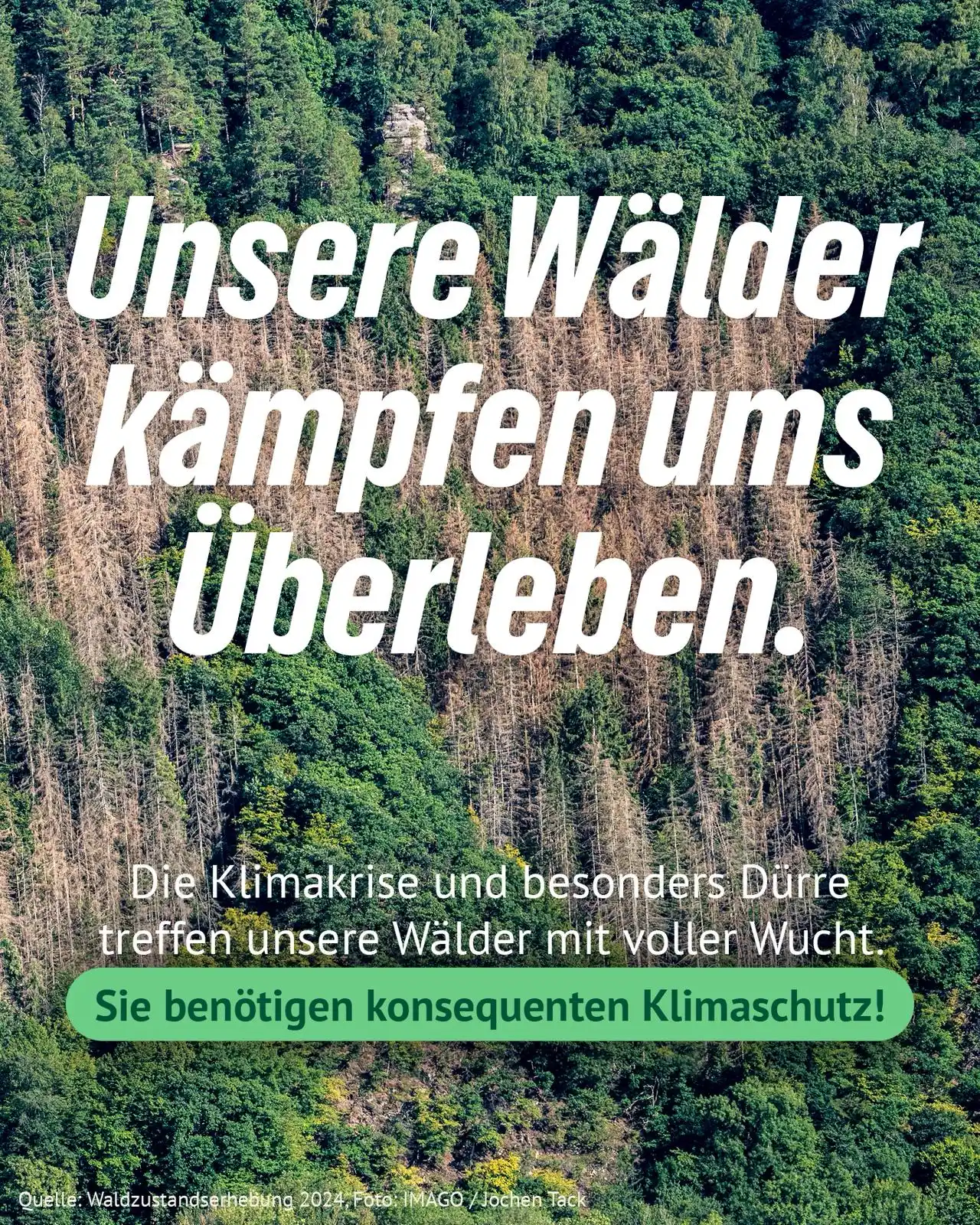 Image from BÜNDNIS 90/DIE GRÜNEN: 🔥 Der Mai war wieder extrem warm – weltweit der zweitwärmste je gemes...