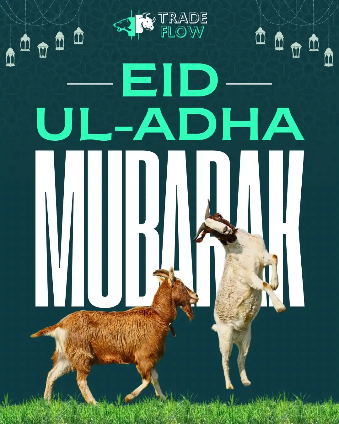 Image from TradeFlow Advisors 🚀: 🕌✨ *EID UL-ADHA MUBARAK!*✨🐐 Wishing you and your loved ones a blesse...