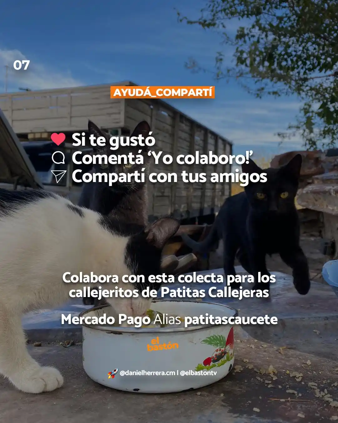 El Bastón post