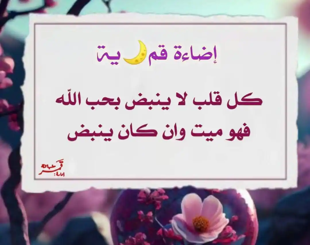 Image from ♡ سؤال وجواب ♡: كان النبي ﷺ جالساً في بيت عامر الأسلمي، وكان عبد الله بن عامر طفلاً ، ...