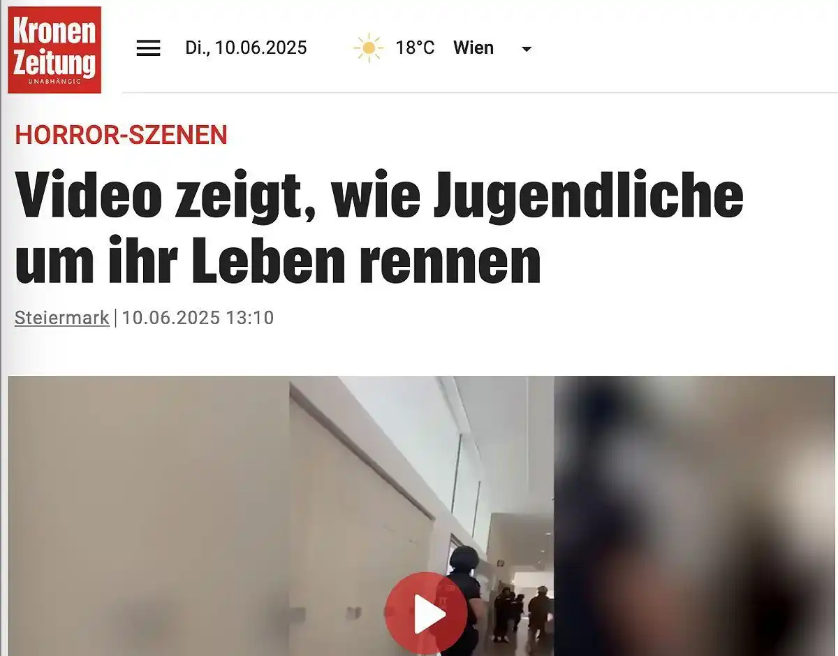 Image from DER STANDARD Etat: *Medienethikerin Paganini: Videos in Medien vom Amoklauf in Graz "inak...