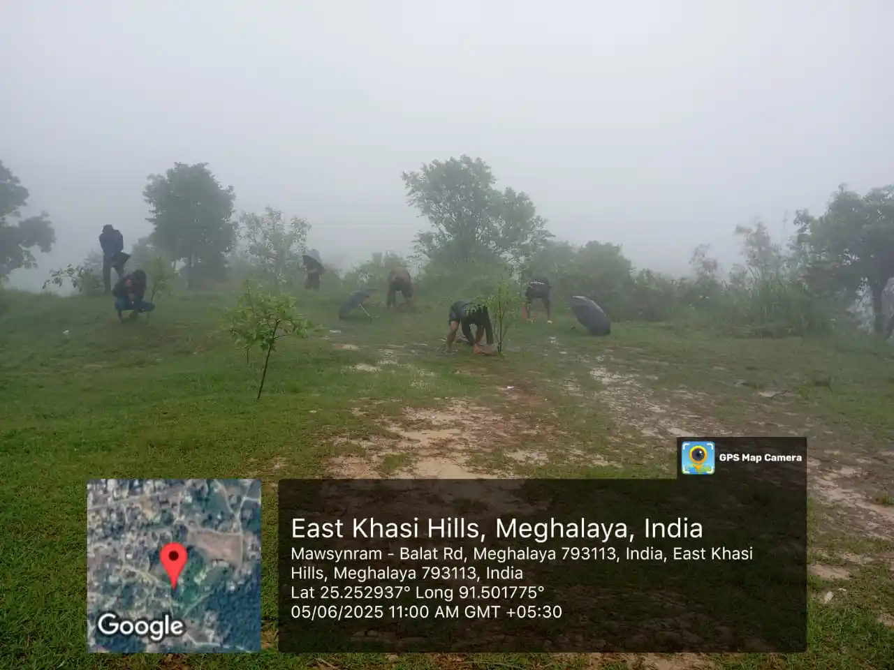 Image from BJP Meghalaya: On the occasion of World Environment day, a tree plantation drive was ...