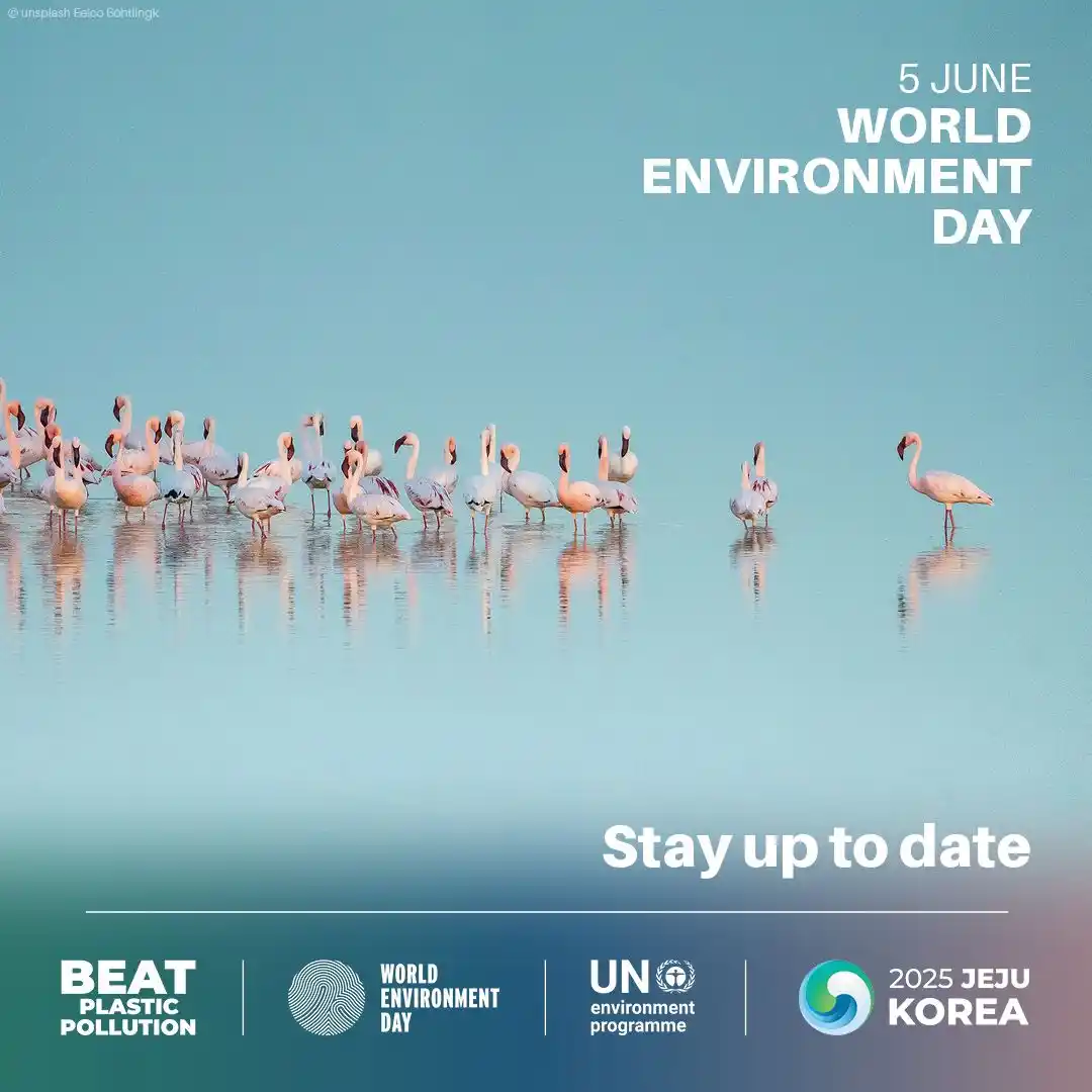 WHO - South Africa  post