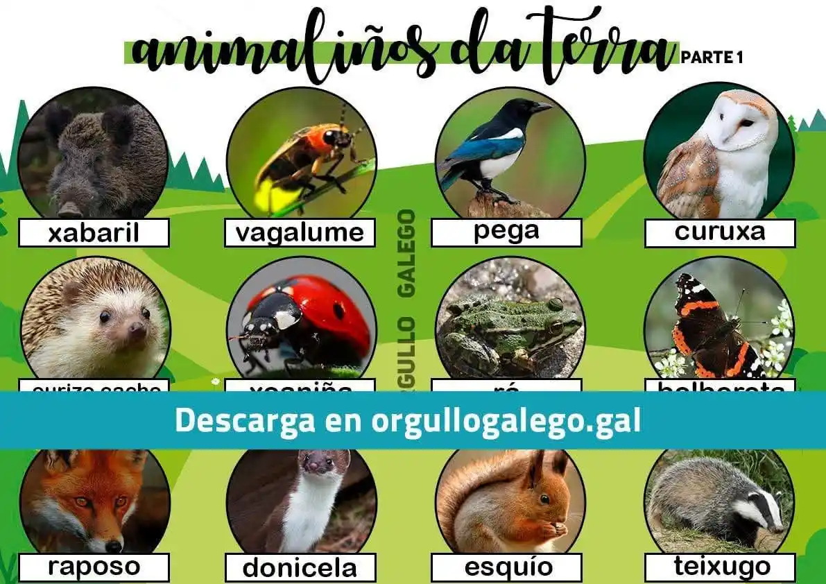 Orgullo Galego post