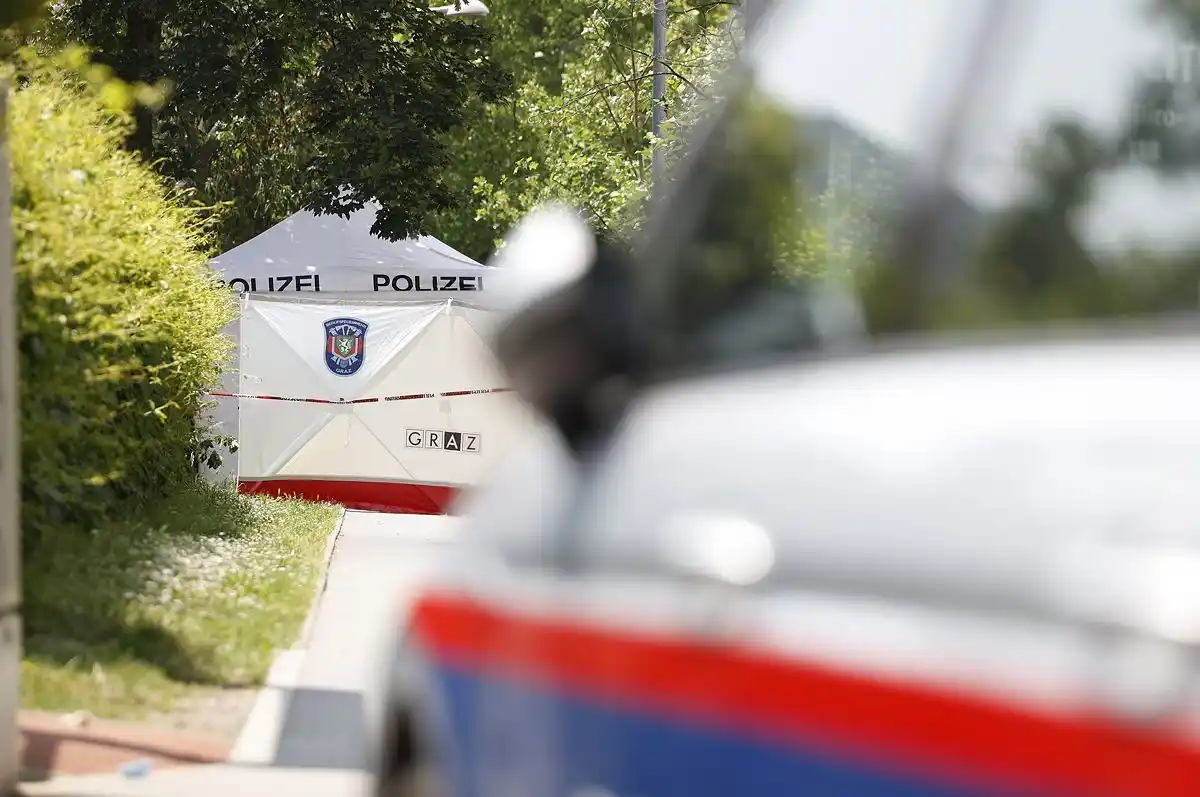 Image from DER STANDARD Etat: *Sachverhaltsdarstellung zu Auf-1-Videos aus Graz bei Medienbehörde ei...