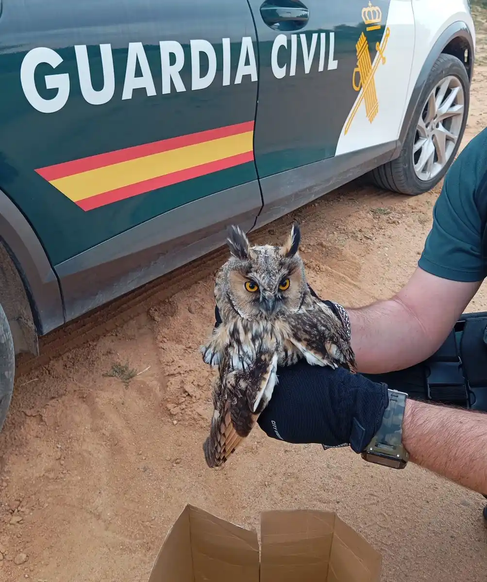 Image from GUARDIA CIVIL ALBACETE: 💚Una vez ➕ y gracias a la colaboración ciudadana, efectivos de la @g...